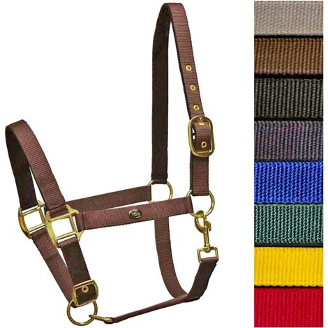 Cwell Equine Cavezza In Nylon Imbottita Con Pile – Rosso/Nero, Taglia Full/Cob/Pony, Fibbie Argento, Per Uso Quotidiano