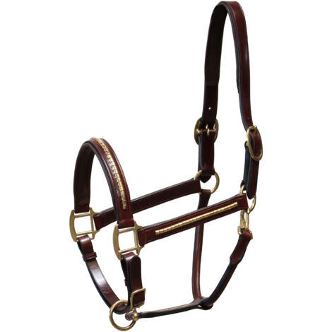 Full, Nero: Cavezza in cuoio italiano con clincher e fibbie in ottone lucido