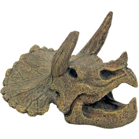 Teschio di Triceratopo 15x14x10,5 cm decorazione per acquario