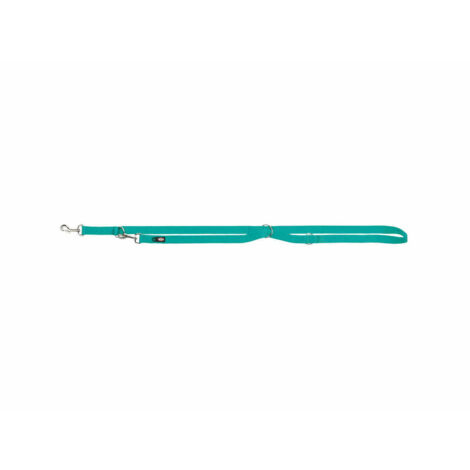 Premium guinzaglio addestramento: XS-S: 2m/15mm acquamarina