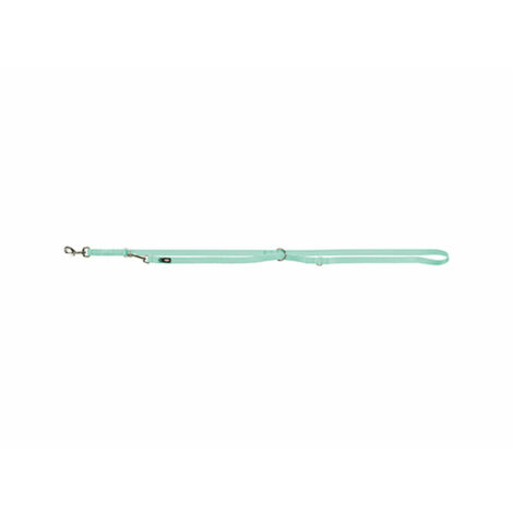 Premium guinzaglio addestramento: M-L: 2m/20mm menta (1/2)