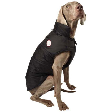 Giubbotto piumino modello Dog imbottito impermeabile nero per cani: 34 cm