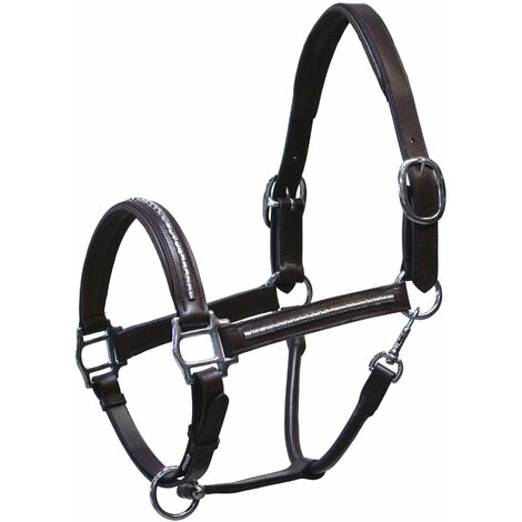 Harnais D'attelage En Cuir Pour Cheval - Avec Anneaux Et Boucles En Laiton - Modèle Générique