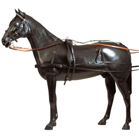 Full, Nero: Finimento da carrozza singolo completo con fibbiera e finiture in ottone nichelato