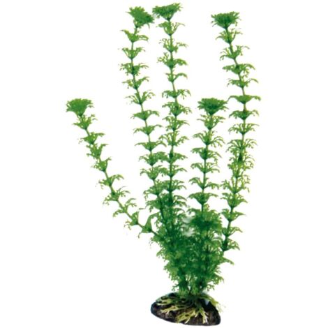 Altezza 23 cm: Decorazione piantina Cabomba Amtra in plastica per acquari