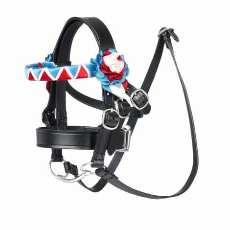 Redini Cavallo Briglia Cavezza Pvc Con Redini | La Selleria Online Testiera Cavallo