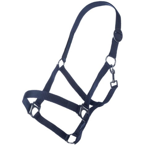 Cavezza per cavalli in nylon con fibbie in metallo modello Classic: Shettland 0, blu scuro