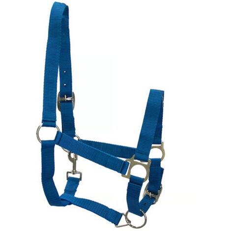 Full, blu: Cavezza in nylon doppia regolazione con fibbiere nichelate