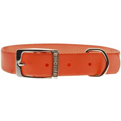 Collare in nylon resistente e antigraffio per cani: 2 x 50 cm - blu