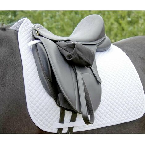 HKM 560557 sottosella, Piccolo Trapuntato, Dressage, L
