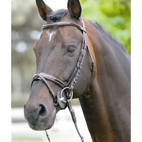 Testiera inglese in cuoio anallergico con strass fornita di frontalino e capezzina in vernice e complete di redini in gomma: cob, nero (10)