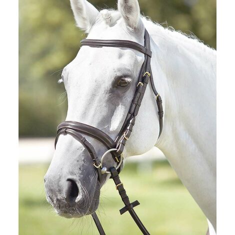 Capezzina Flash In Cuoio Blenheim Per Cavallo – Shires, Fissaggi Acciaio Inox