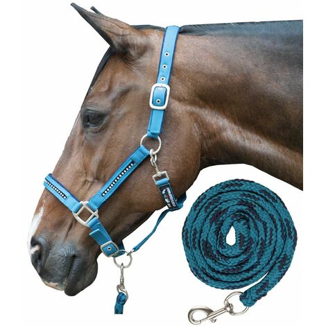 Capezza in nylon con imbottitura morbida e strass completa di longhina: Cob, Petrolio/Blu Marino (5069)