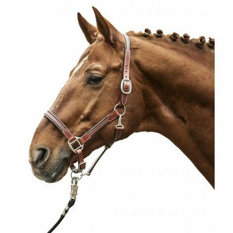 Capezza in pelle per cavalli modello Soft: Full, Marrone 2400
