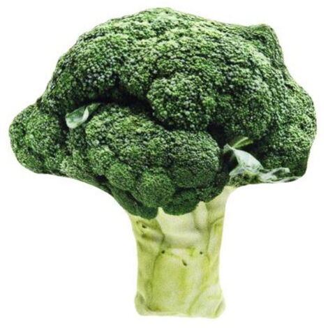 Topo Giocattolo Per Gatti Con Matatabi | In Lana E Cotone | Fatto A Mano In Germania | Stimolante E Naturale - Foto 2