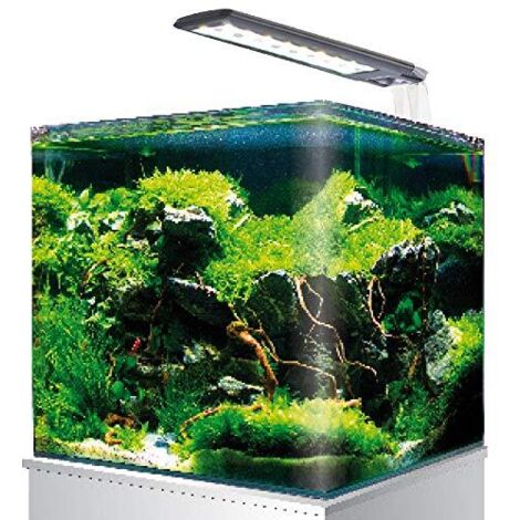 Acquario in vetro con angoli frontali arrotondati Nanoctank cubo system 20 completo di luce LED e filtro