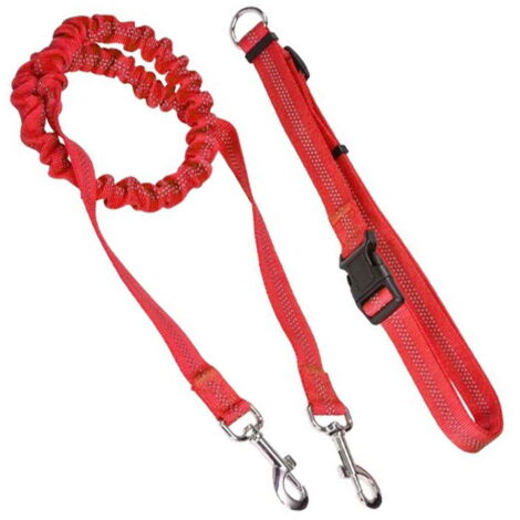 Guinzaglio Retrattile Con Led Porta Sacchetti Per Cane Rosso | LGV Shopping