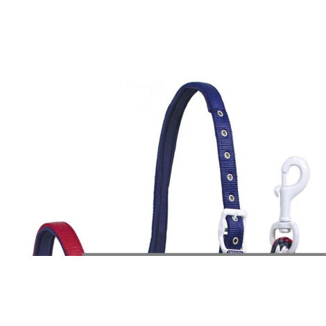 Full, America usa flag: Cavezza in nylon stelle e colori USA con lunghina, fibbie bianche, imbottitura in neoprene e doppia regolazione