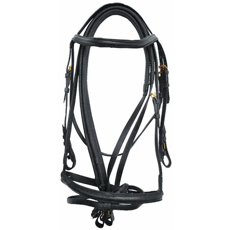 Cheval - Briderie - Rênes - Fouilhoux