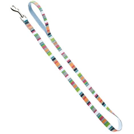 Guinzaglio per cani in nylon con imbottitura in neoprene fantasia arcobaleno: Spessore 1 cm Guinzaglio