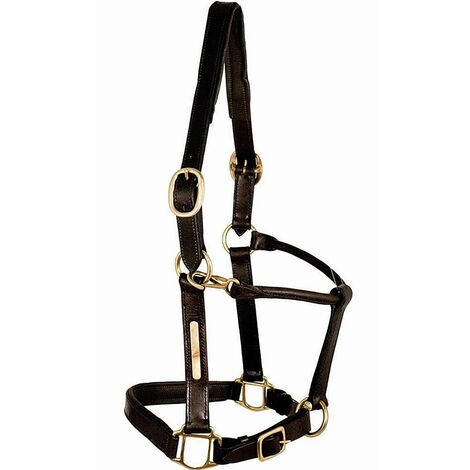 Capezza in cuoio con imbottitura in pelle: Cob, marrone (04)