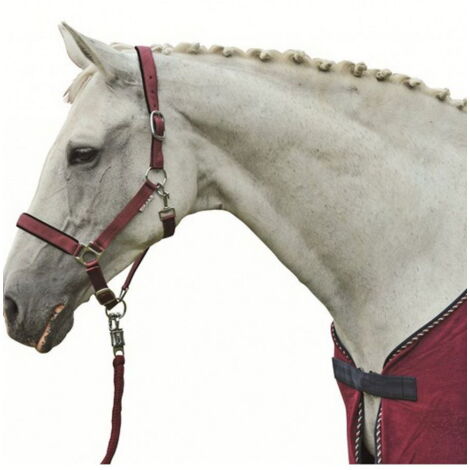 Umbria Equitazione Cavezza Nylon Doppio Navy Blu COB - Foto 8