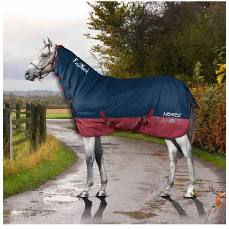 COPERTA DA PADDOCK NORDIC 100 G WALDHAUSEN