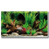 Sfondo doppio Wonder blister 60x150 cm