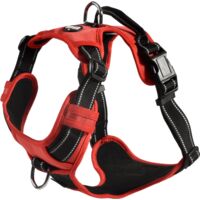 Pettorina rossa 2 x 40-63 cm: Pettorina anti tiro rosso modello Rando Walk per cani