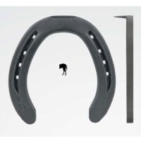 Ferri Kerckhaert ST a 1 barbetta nel posteriore: ST n. 2 - binda 22x8 1B - 15 coppie posteriori