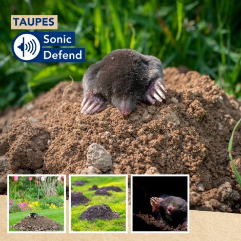 Répulsif Ultrasons Taupe/souris - Solaire, Rayon 15m, Inoffensif Animaux Domestiques