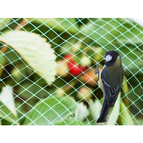 Filet de protection anti-oiseaux coloris vert 5x10 m : Protection