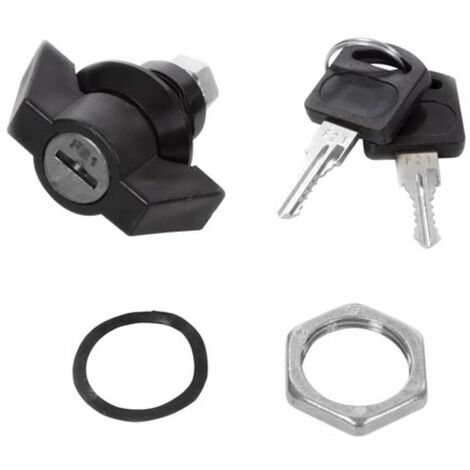 Perel Serrure de boite aux lettres pour colis, avec 2 clés, diamètre 22 mm