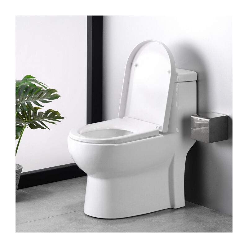 eSituro Sedile WC Tavoletta WC Copriwater Universale Bianco in Duroplast Coperchio con Chiusura Ammortizzata Antibatterico STS0186 