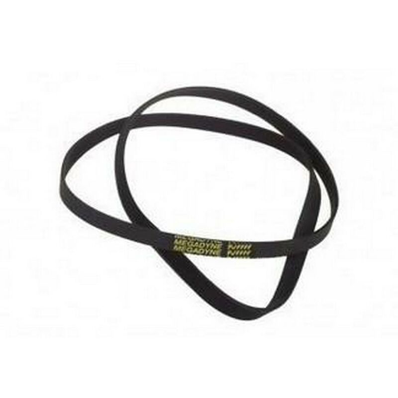 Cinghia - Lavatrice - CANDY - 446693662734074916