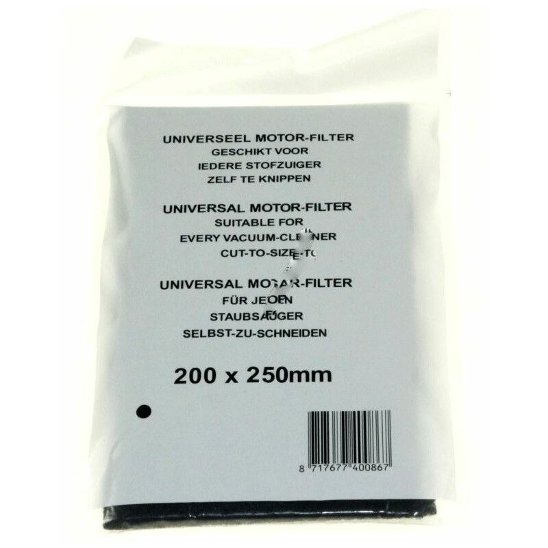PakTrade 2 Filtri Motore per Aspirapolvere Philips FC6033 FC9172/01