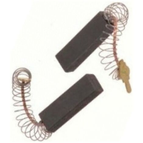 2 Spazzole Carbone Motore Lavatrice Per AEG Electrolux Bosch - Ricambio 5022658800 154071