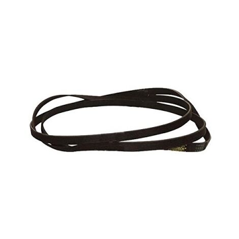 Cinghia - Asciugatrice - ARISTON HOTPOINT - 1014973662734805435