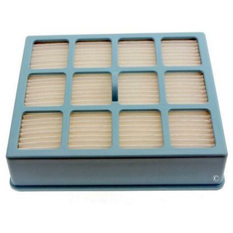 Filtro HEPA Per Aspiradoras Philips FC 9066 - UK