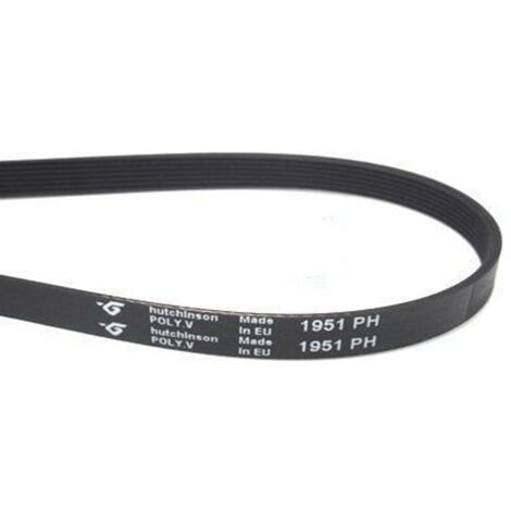 Marel Shop ® - Cinghia Nastro per Cestello Asciugatrice 8PHE 1991-6PHE 1991 comp
