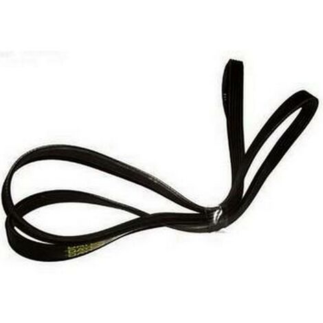 Deumidificatore Delonghi Cinghia Per Asciugatrice Hotpoint/Creda