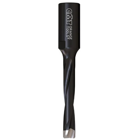 380.060.11 FRAISE HW POUR DOMINO-FESTOOL S=M6X0.75 D=6X28X49 DR