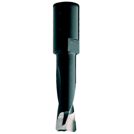 380.121.11 FRAIS POUR DOMINO DF700 FESTOOL HW Z2 S=M8x1 D=12x70x90 DX