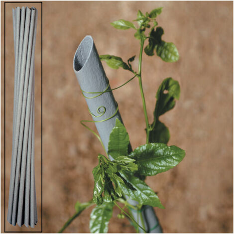 Tutori tutore pvc per piante pianta 20pz. vigna mm. 27 x cm. 180 vasi sostegno - Salone