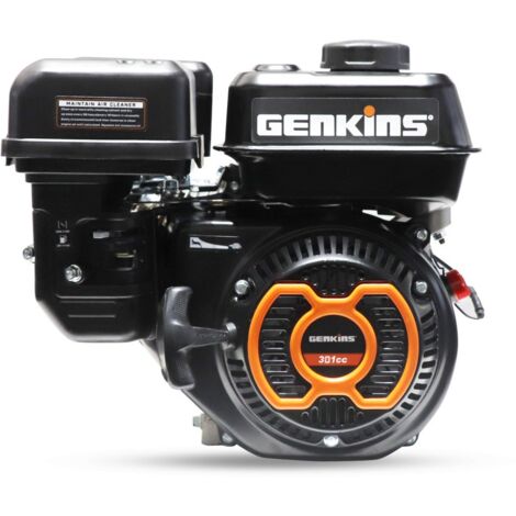 GENKINS GK300ER Alternatore+ reg.tensione 10 HP Motore Benzina Albero Cilindrico 25,4 mm (1/4)