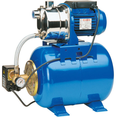 SPERONI HW CAM98/25 1,3 HP Elettropompa Autoadescante Monofase (1/3)