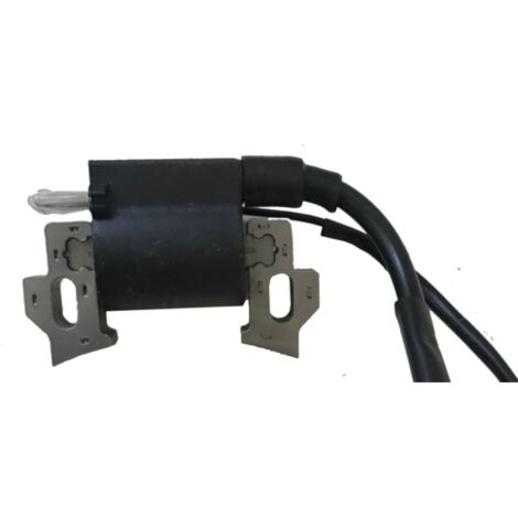 HONDA Bobina Elettronica G150 G200 originale (1/3)