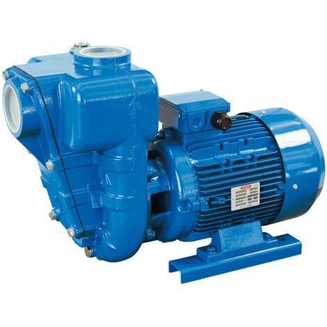 SPERONI HG 100-11 15 HP Elettropompa Autoadescante a Girante Aperta TRIFASE (1/3)
