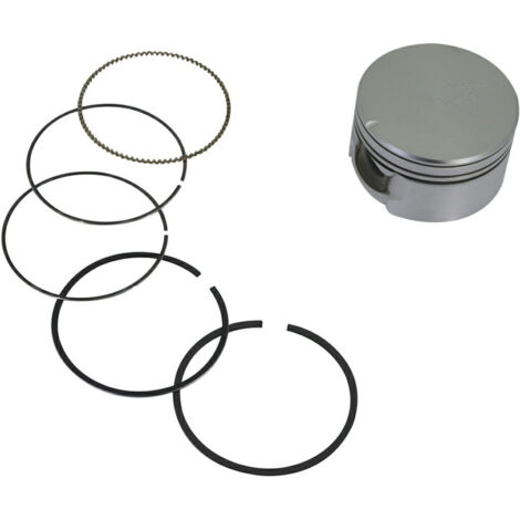 BRIGGS & STRATTON Pistone completo Briggs & Stratton, diam 69 mm 795430