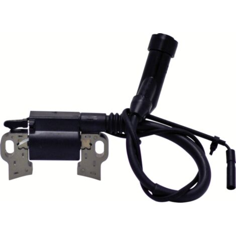 RATO Bobina elettronica PER MOTORE R180 R210 (1/3)